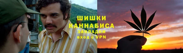 Альфа ПВП Козельск