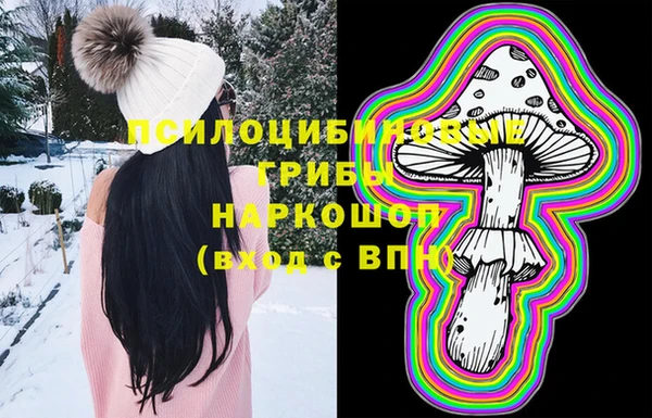 дмт Козловка