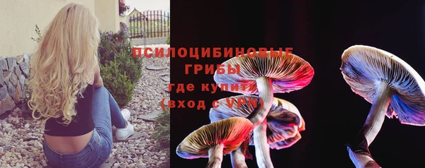 прущий лед Кодинск